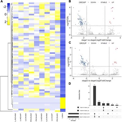 LncRNA Landscape of Coronary Atherosclerosis Reveals Differentially Expressed LncRNAs in Proliferation and Migration of Coronary Artery Smooth Muscle Cells